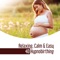 Calm Nerves - Hypnotherapy Birthing lyrics