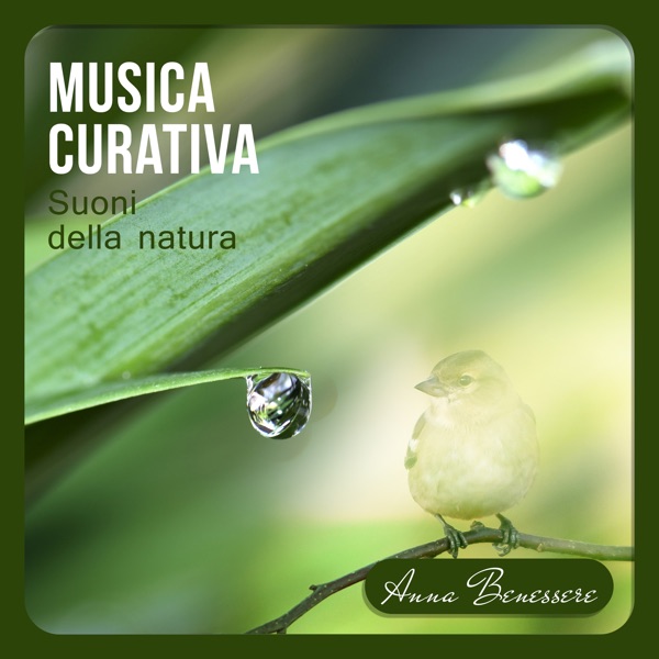 Musica curativa (Suoni della natura)