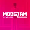 Ivri Lider - Moogzam