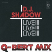 Dj Shadow - Q-Bert Mega Mix: