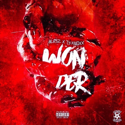 Wonder (feat. Ty Knoxx & Blesz) - Single
