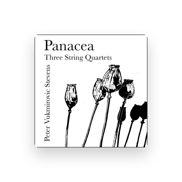 Panacea Quartet's avatar
