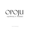 Opoju (feat. Wizkid) - Single