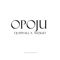 Opoju (feat. Wizkid) - SPINALL lyrics