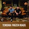 Frozen Roads, Vol. 3, 2015