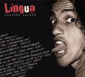 Lingua artwork