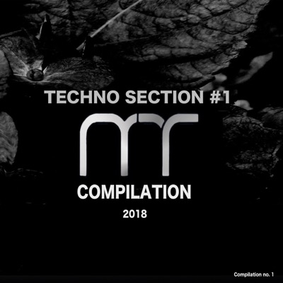 Techno Section - 1 (Compilation 2018)