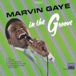 Marvin Gaye - I Heard It Through the Grapevine