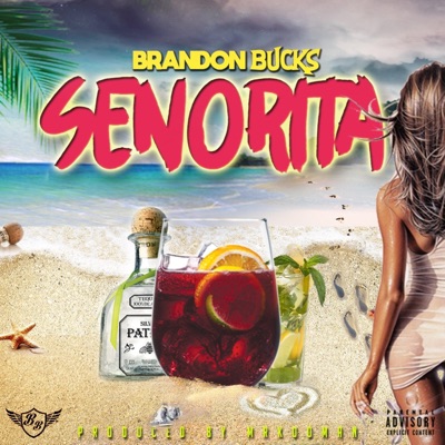 Senorita - Single