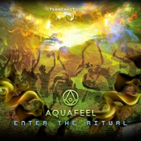 Enter the Ritual - Single - Aquafeel