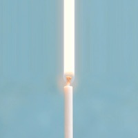 Lolly Holiday - Single - Craig Wedren