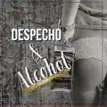 Te Mentí