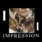 Impression (feat. Real) - Aprilis Biggz lyrics