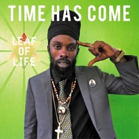 Time Has Come - Leaf Of Life