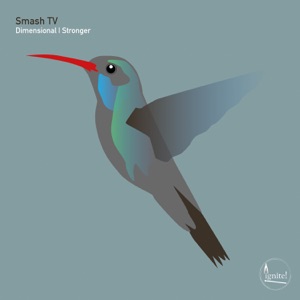 Dimensional / Stronger - Single