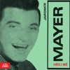 JAROMIR MAYER