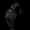 Crownd. - Boss lyrics