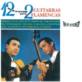 12 Éxitos para Dos Guitarras Flamencas (Instrumental)