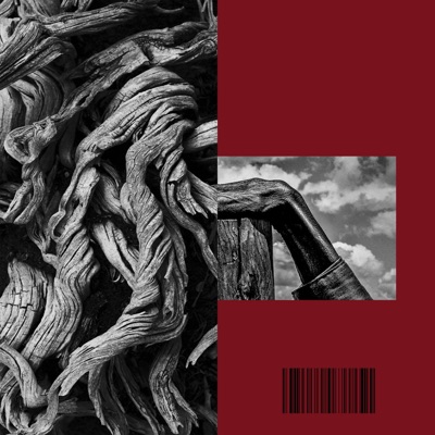 Poor Tree (feat. Solsa) - Single