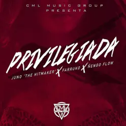 Privilegiada (feat. Juno the Hitmaker) - Single - Farruko