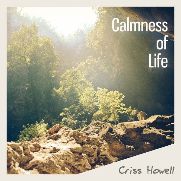 Calmness of Life