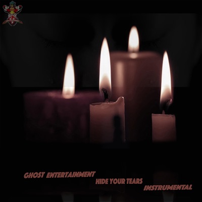 Hide Your Tears (Instrumental) - Single