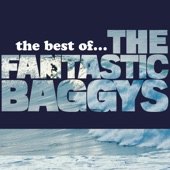 The Fantastic Baggys - Summer Means Fun