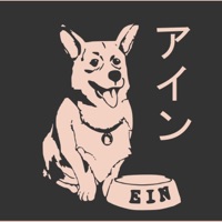 Ein - Single - Cat Paw