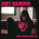 What a Wonderful World - Joey Ramone