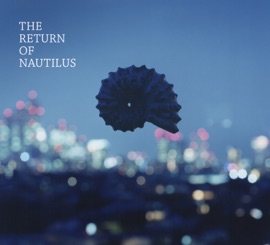 In The Rain Nautilus