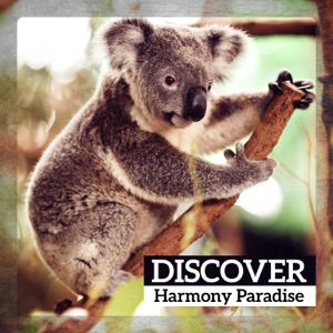 Discover Harmony Paradise: Soothing Freshmaker, Get Relaxation Today, State Without Anxiety