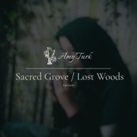 Sacred Grove/Lost Woods (The Legend of Zelda: Twilight Princess/ocarina of Time) - Single - Amy Turk