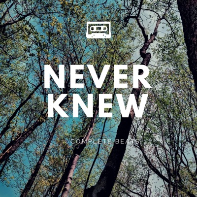 Never Knew - Single