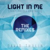 Light In Me (The Remixes) [feat. Nicole Croteau], 2014