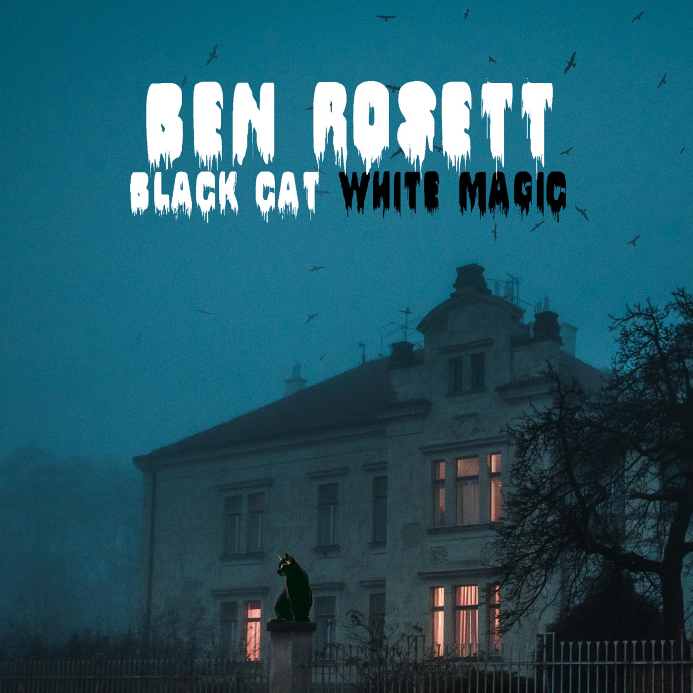 Black Cat White Magic by Ben Rosett