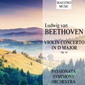 Violin Concerto in D Major, Op. 61: I. Allegro ma non troppo artwork