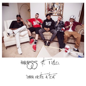 Uma Noite a Toa (feat. 1 Kilo) - Single