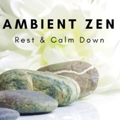 Ambient Zen: Relaxing Spa, Wellness Sounds, Nature Background, Happy Afternoon, Rest & Calm Down artwork