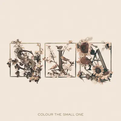 Colour the Small One (UK Edition) - Sia