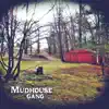 Mudhouse Gang - Heart Attack Blues