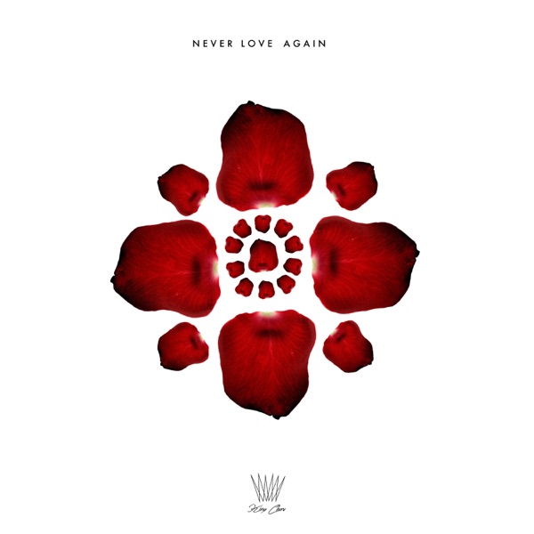 Never Love Again