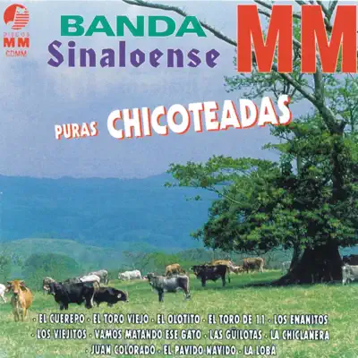 Puras Chicoteadas - Banda Sinaloense MM