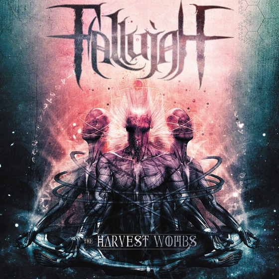 Cover artwork for Hallucination