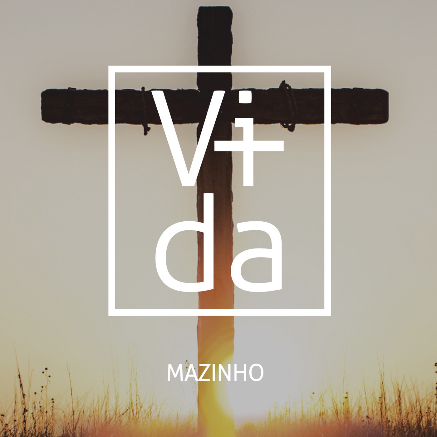 Vida