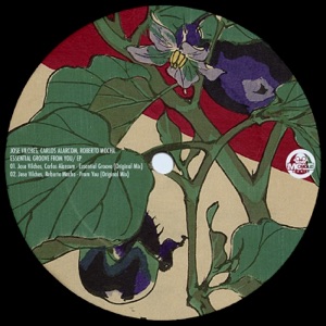 Essential Groove from You - Single
