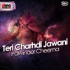 Teri Charhdi Jawani