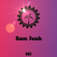Acid Junk Ep - Sam Junk