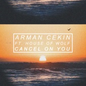 Cancel on You (feat. House of Wolf) artwork