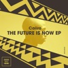 Caiiro - The Future Is Now