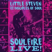 Little Steven & The Disciples of Soul - I Don't Want to Go Home (Live 2017)